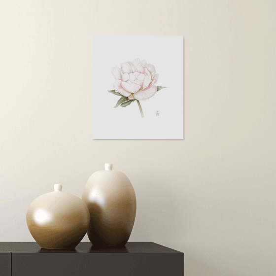 White peony