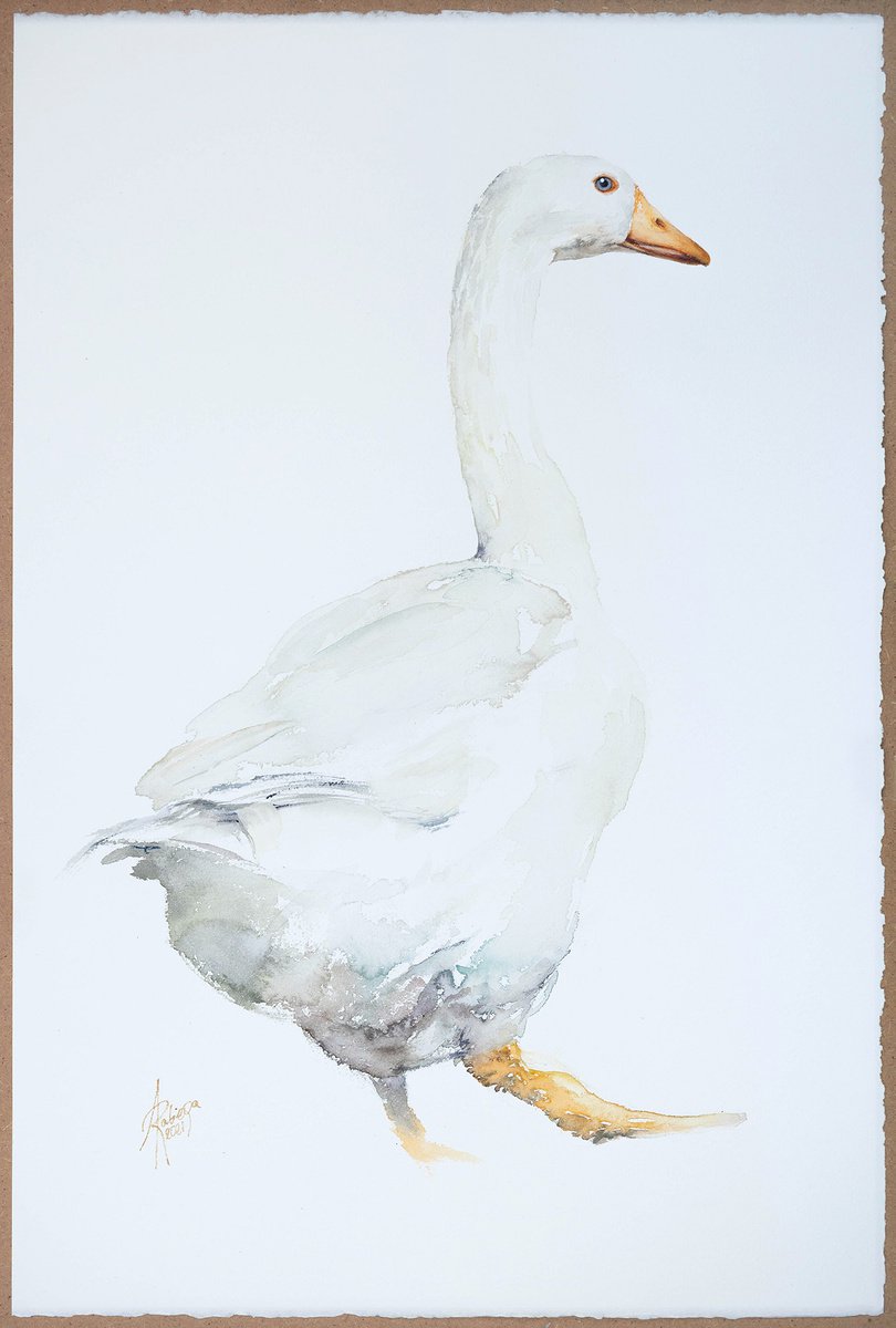 Watercolour , Goose By Andrzej Rabiega, 15 X 22, Artwork For Sale On Artfinder