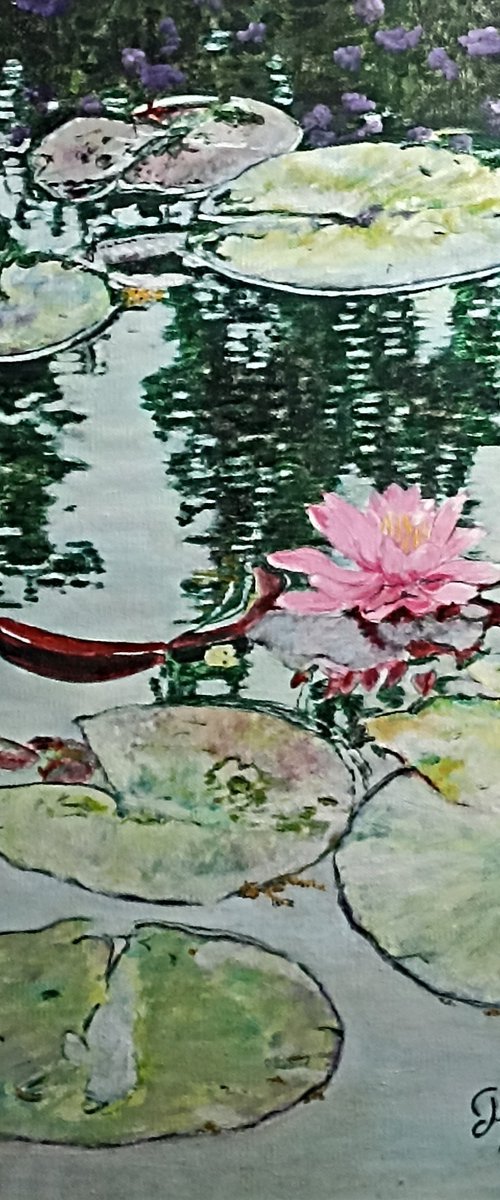 Pink waterlily by Isabelle Lucas