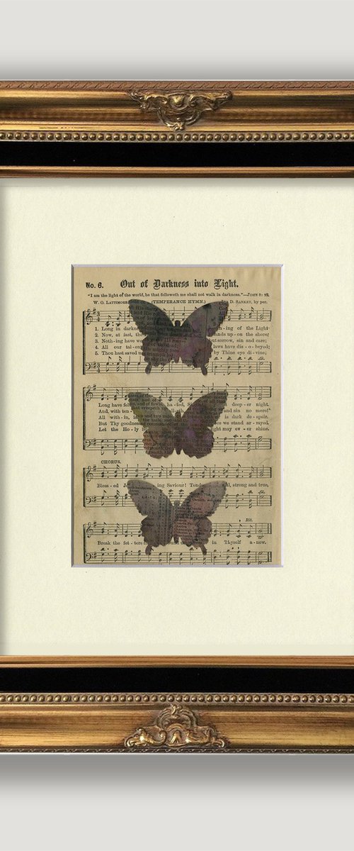 Butterfly Collage 14 by Kathy Morton Stanion