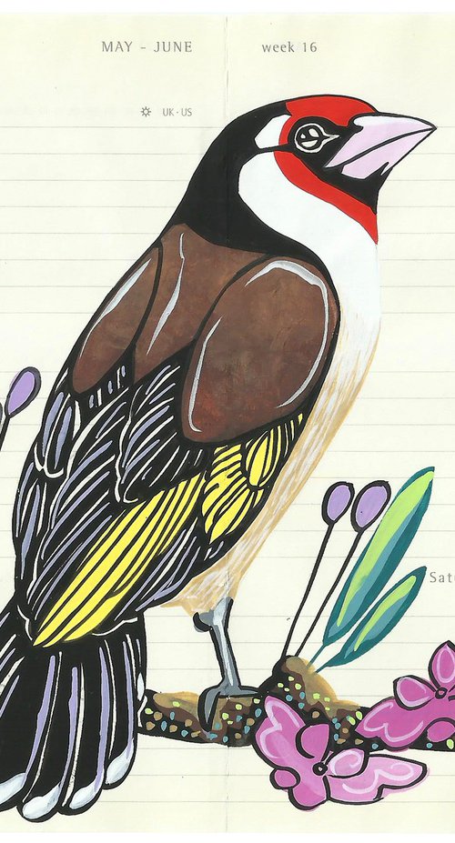 Birds of Europe: Goldfinch by Fran Giffard