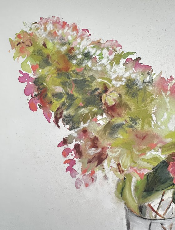 Autumn Hydrangea