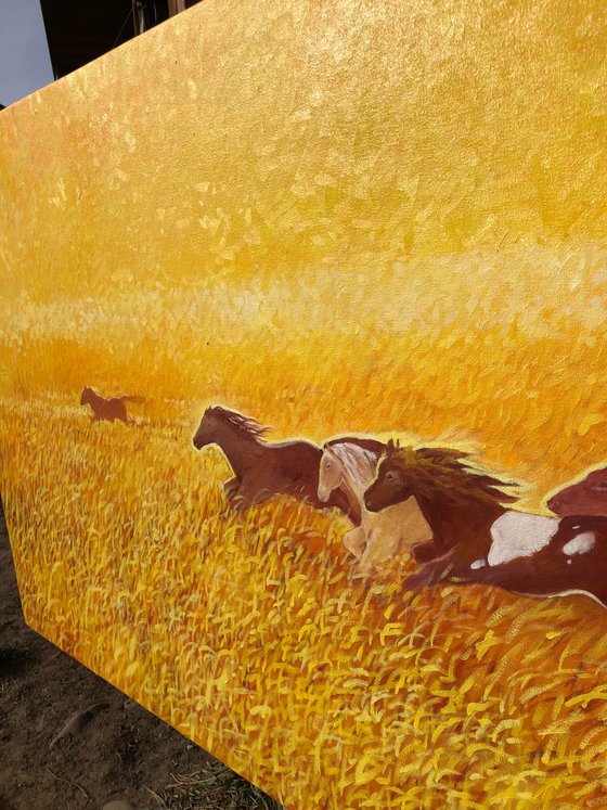 Horses chasing the sun