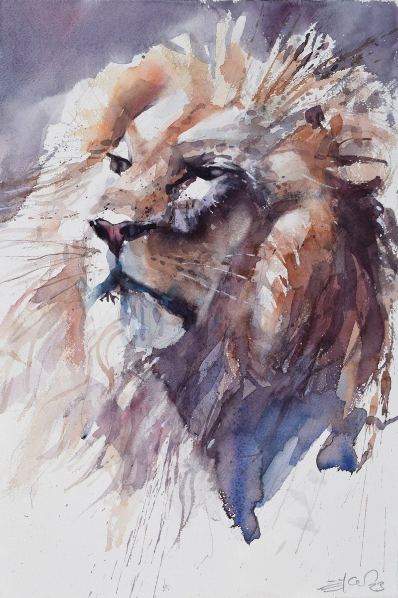 Animal Watercolour By Goran Zigolic Watercolors, 15 X 22, Lion