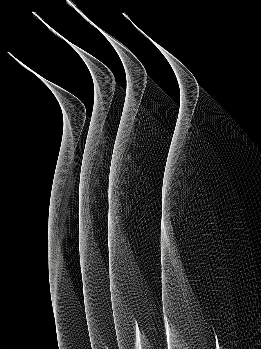 Spirograph by Shabs Beigh
