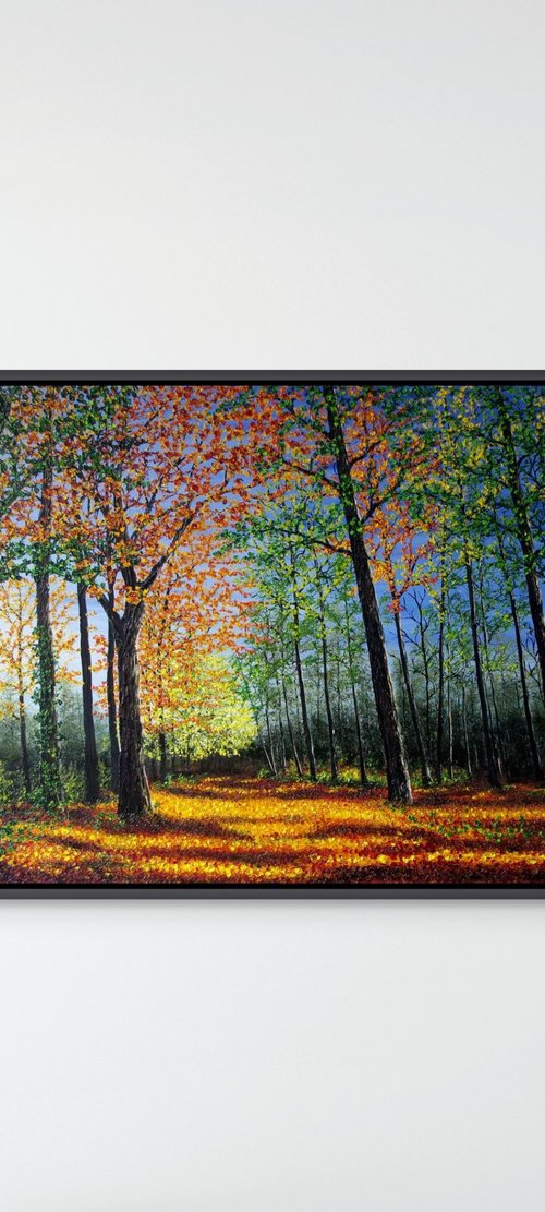 Autumn Forest Glow by Hazel Thomson