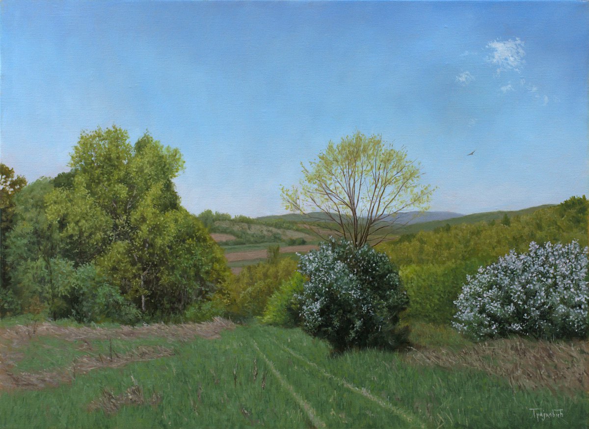 Photorealistic Landscape Oil Painting By Dejan Trajkovic, 34 X 26, The Meadow In Spring, Original Artwork