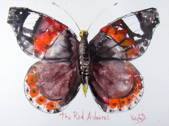 The Red Admiral (Vanessa Atalanta)