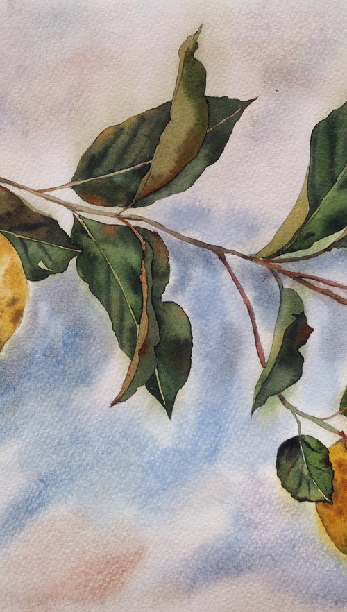 Lemons - Mediterranean still life by Delnara El