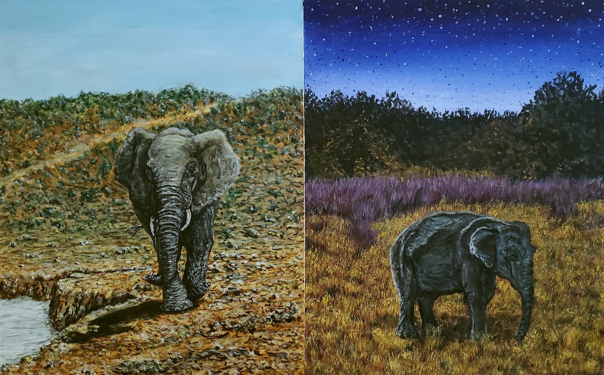 Elephants by Robbie Potter