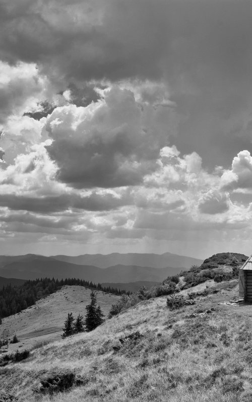 Lonely Shelter by Vlad Durniev