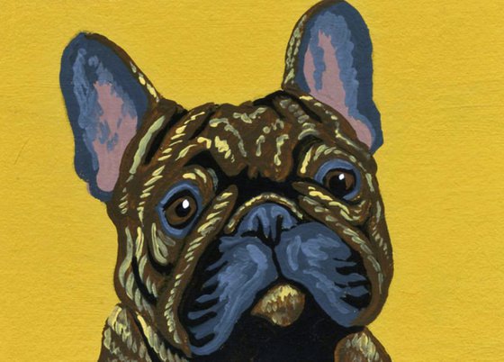 Brindle French Bulldog