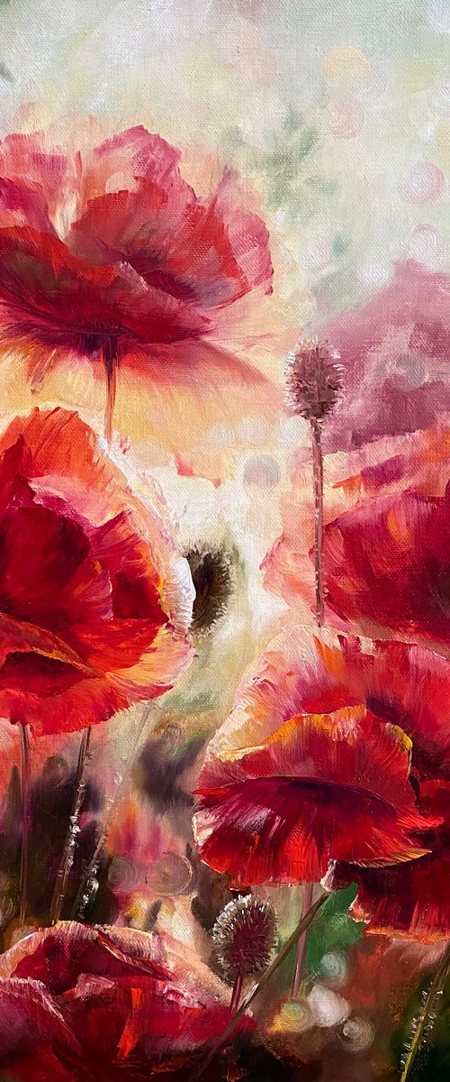 Transparent poppies. Red flowers. by Larisa Batenkova