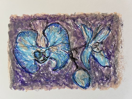 Azure Orchids