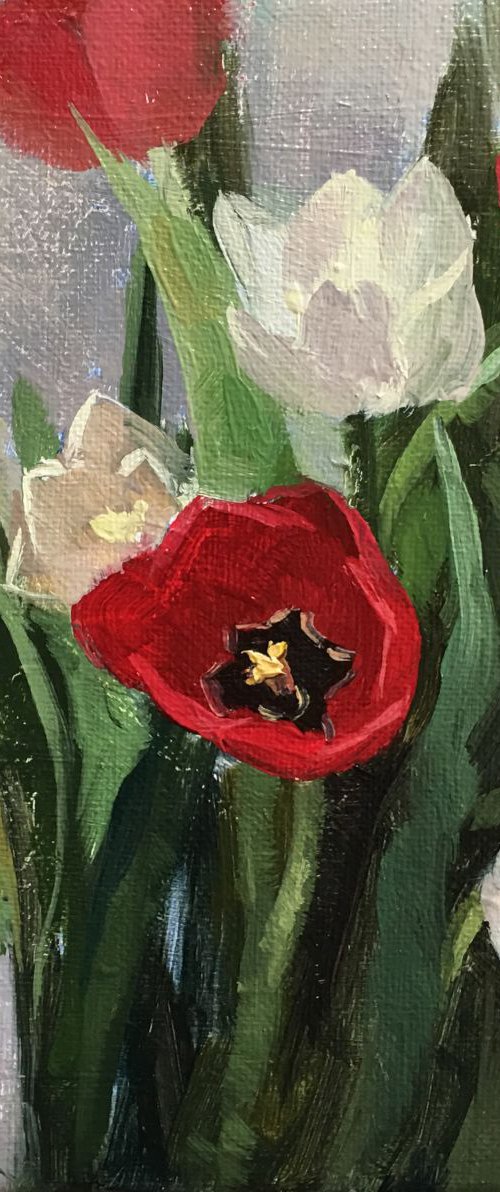 Red and White Tulips by Ling Strube