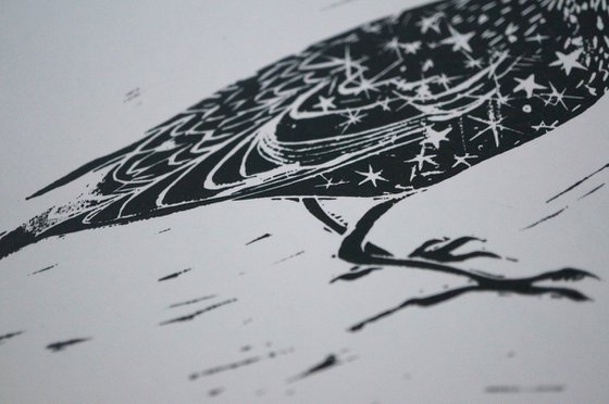 Starling Linocut Print