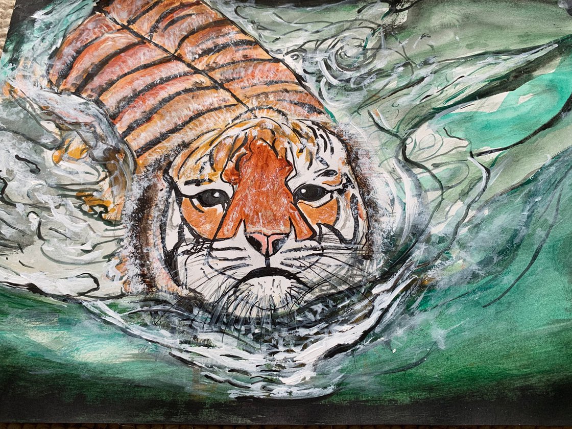 tiger underwater