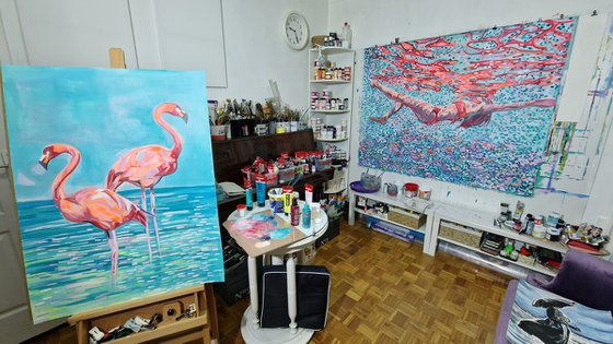 Flamingos