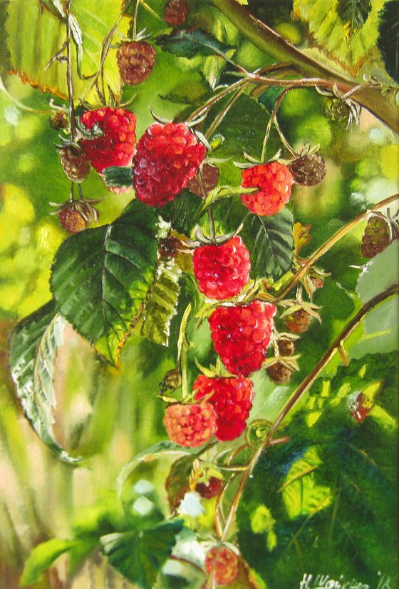 Raspberry. Sun Kissed