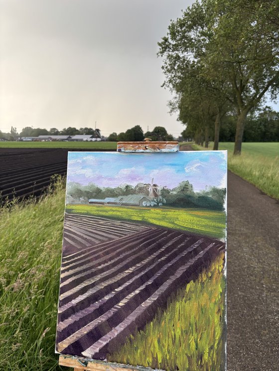 Plowed Field in Wachtum