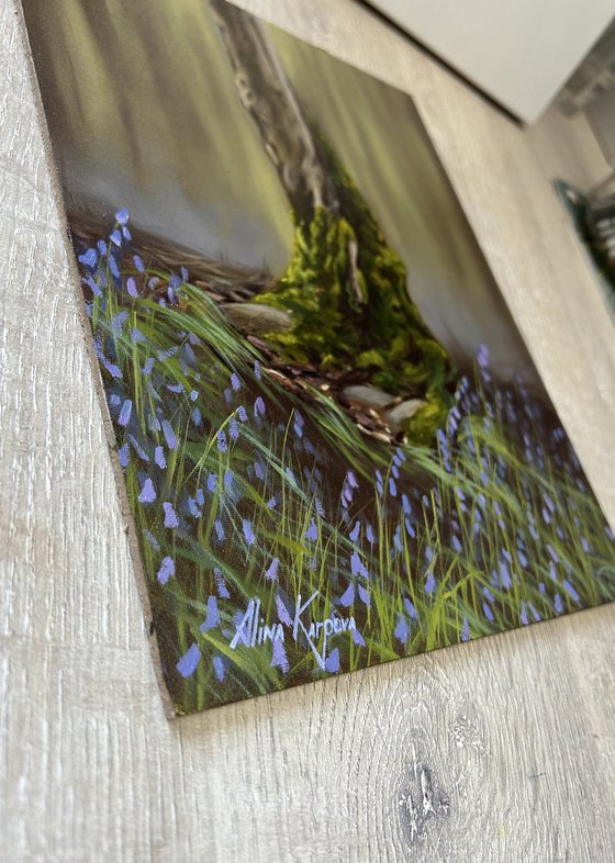 The tree and the bluebells