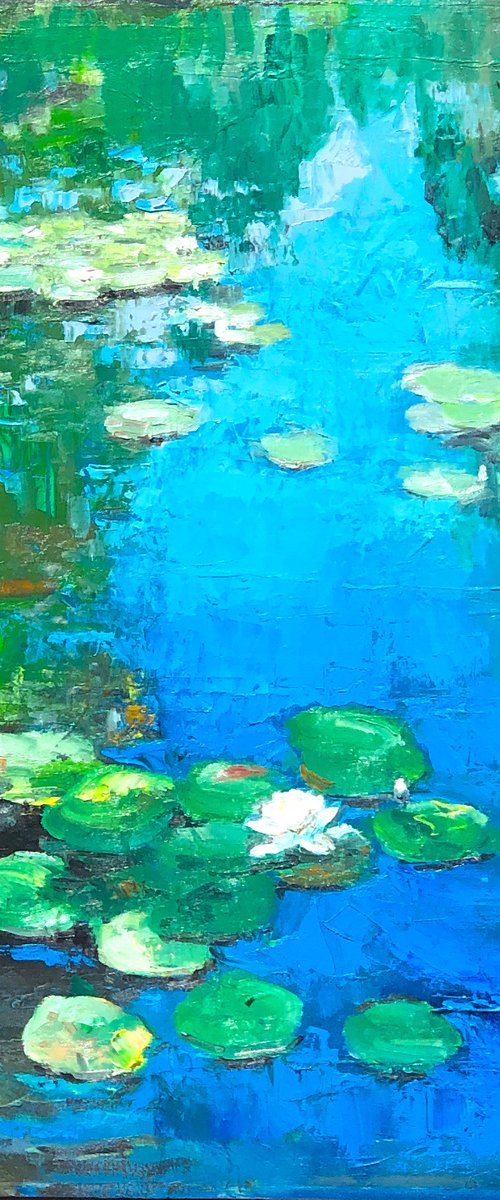 The Blue Zone by Arun Prem