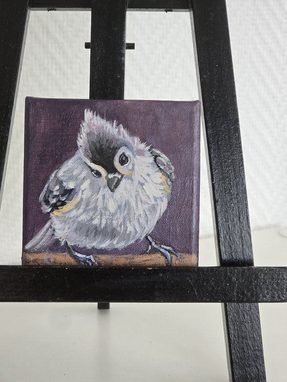 "Tufted Titmouse"