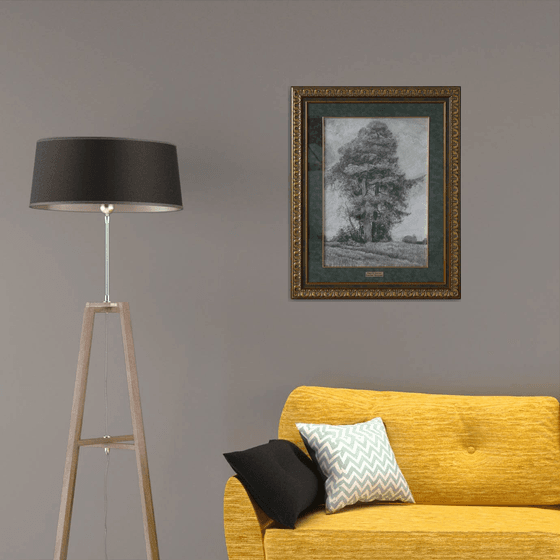 Pine and Spruce