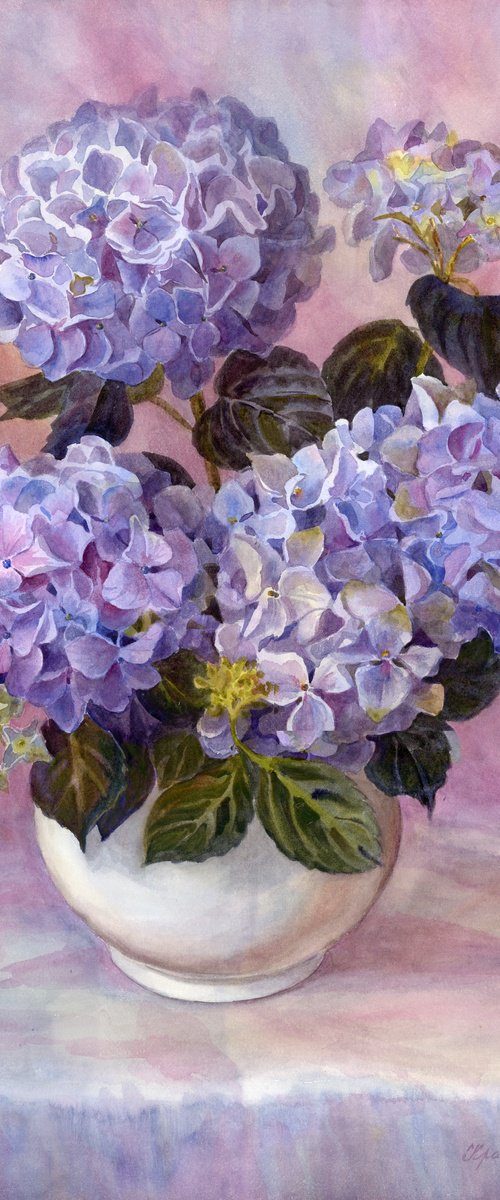 Hydrangea in a white vase by Yulia Krasnov