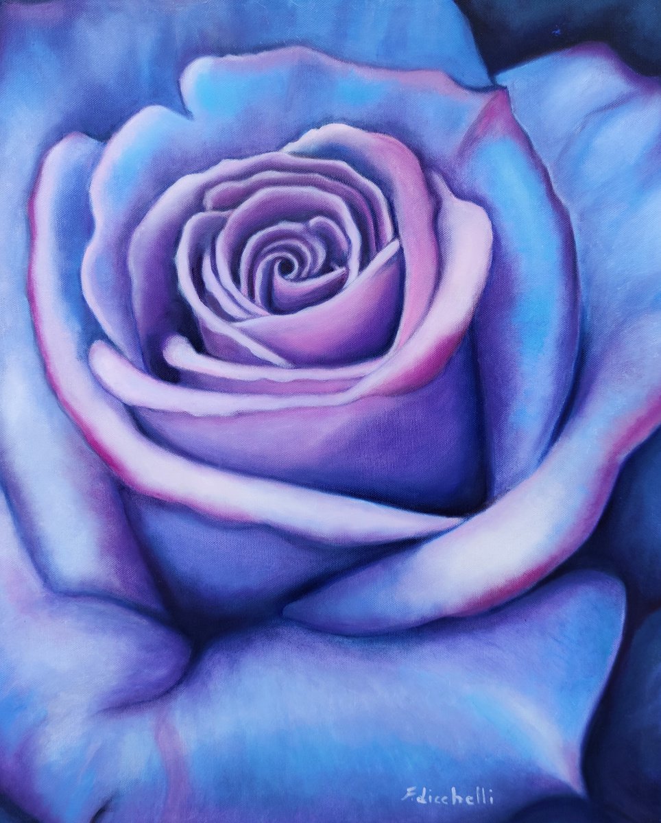 Sapphire rose by Francesca Licchelli