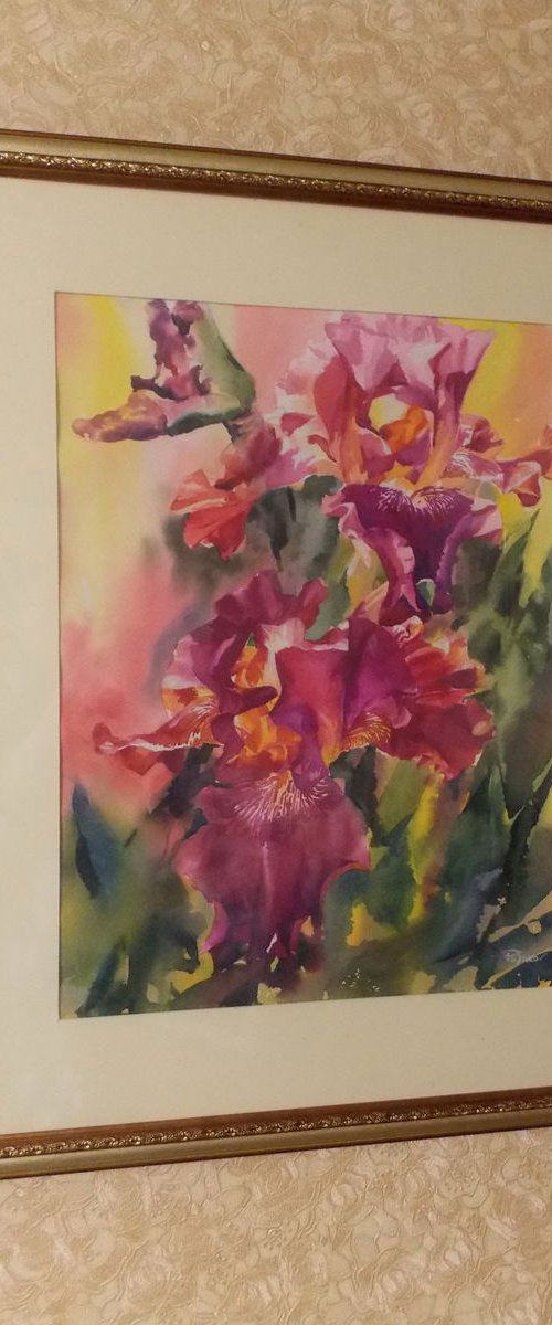 Red Irises by Yurii Pashkov