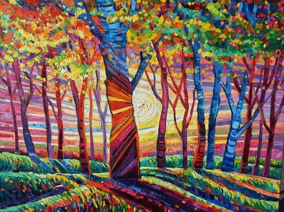 Autumn light in the forest