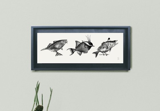Birdfish species