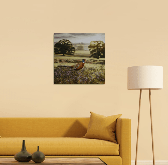 Pheasant in Sunrise Field