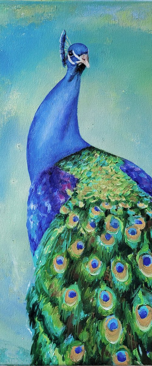 Royal Peacock by Lisa Braun