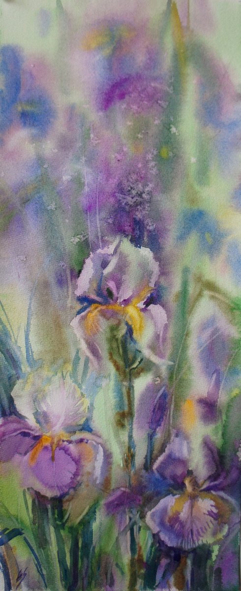 Iris dreams by Elena Sanina