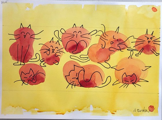 Red cats, yellow home
