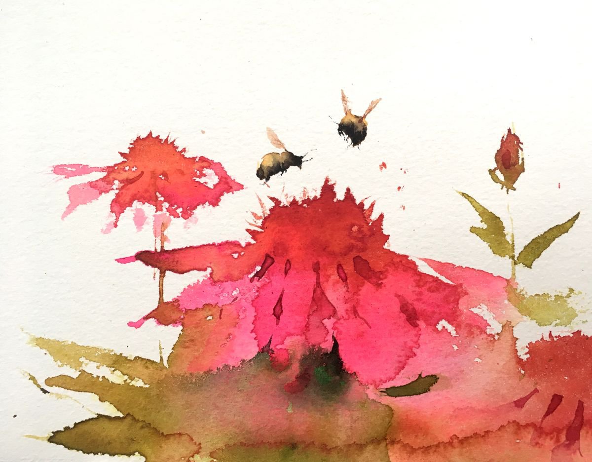 Echinacea and Bumblebees by Kate Osborne