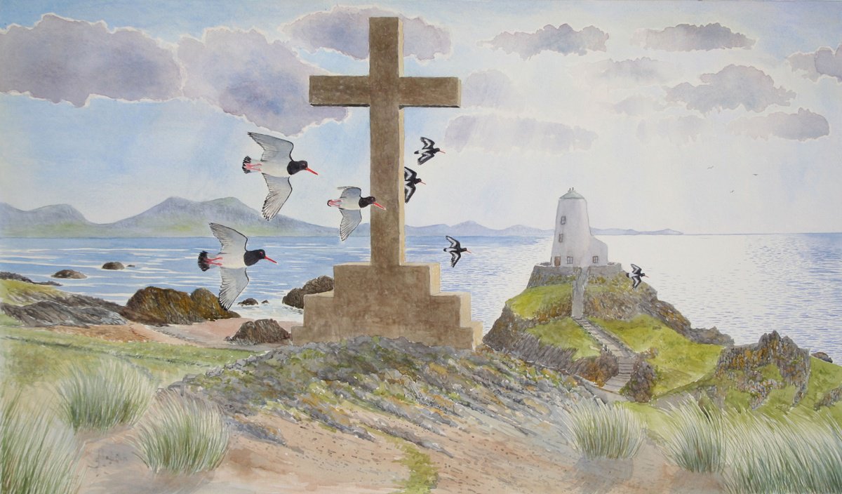 Oystercatchers flypast on Llanddwyn Island, Menai Straits, Anglesey by John Horton
