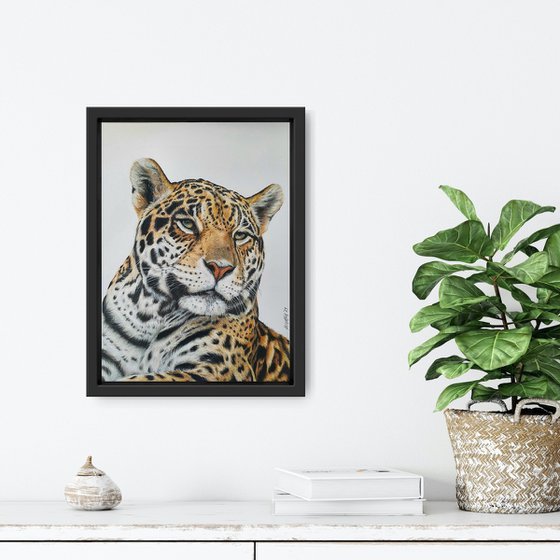 "Get in pose" Jaguar portrait - 'The last of us' wildlife-art series no. 1