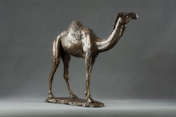 Camel  Bronze Resin sculpture