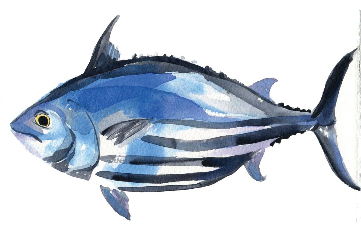 Tuna Fish by Hannah Clark