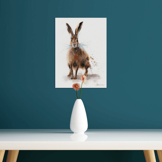 Curious Hare