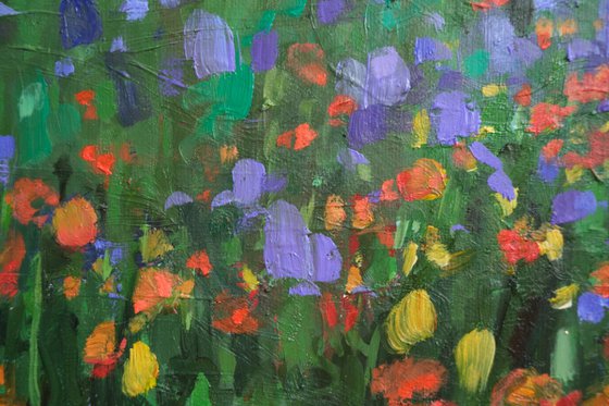 over the flower field