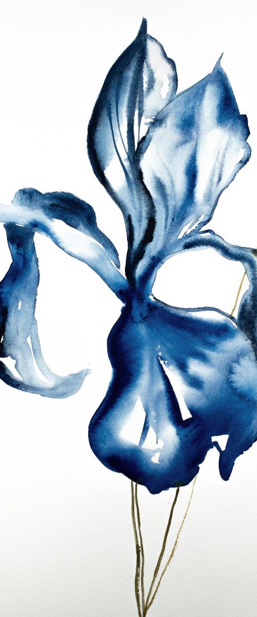 Iris No. 92 by Elizabeth Becker