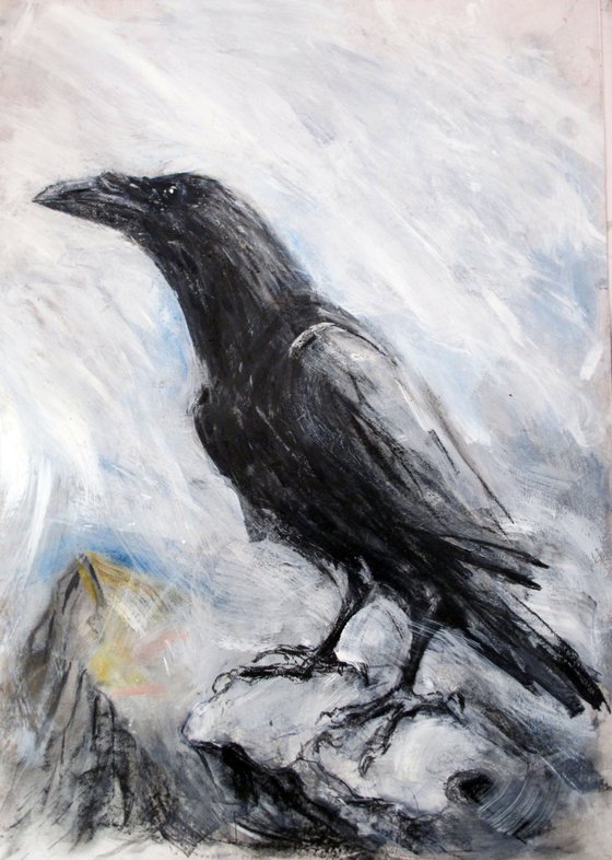 Raven, Dow Crag, Cumbria 1