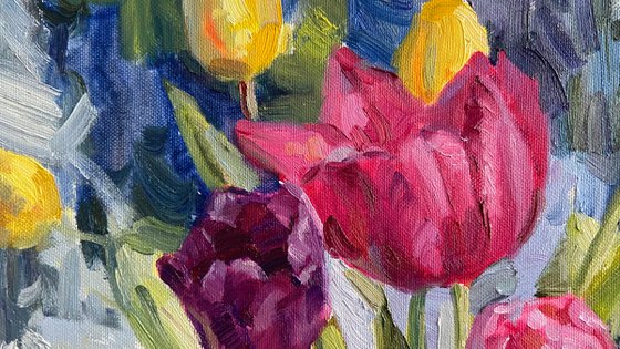 Colorful tulips