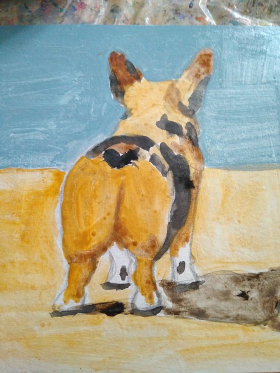Corgi