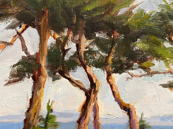 Cypress Trees plein air sketch