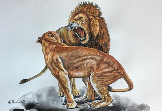 Lions 6